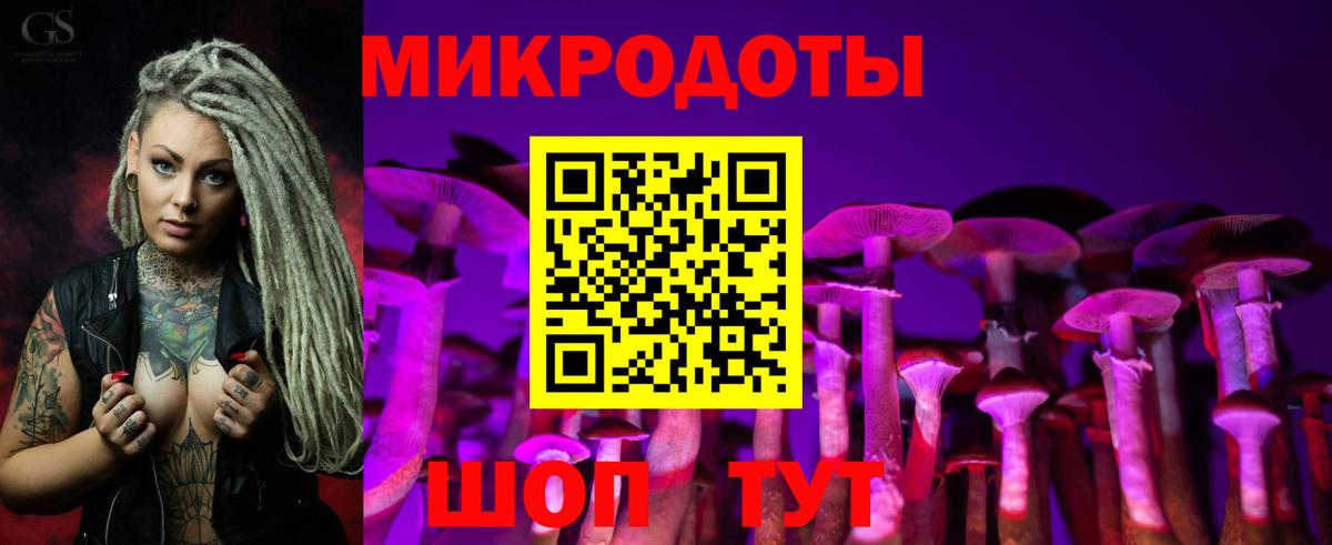 Псилоцибиновые грибы мицелий Аргун