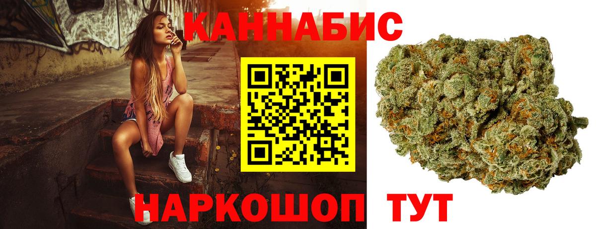 Бошки Шишки тримм Аргун